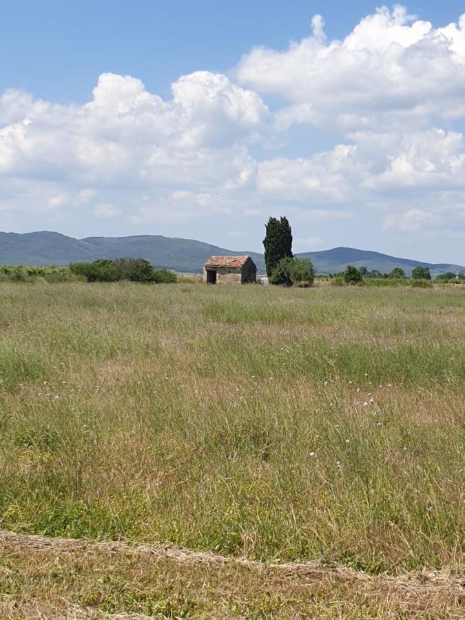 Villa La Grange Du Cade Magalas Exterior foto